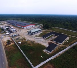 Coconut Factory